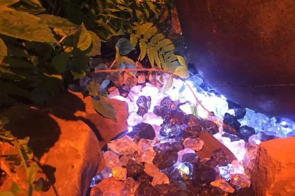 2016 Philly Flower Show Recap