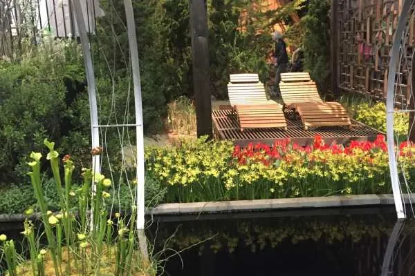 2016 Philly Flower Show Recap