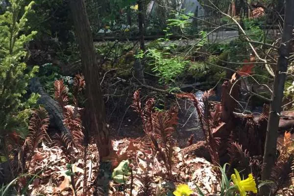 2016 Philly Flower Show Recap