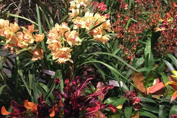 2016 Philly Flower Show Recap