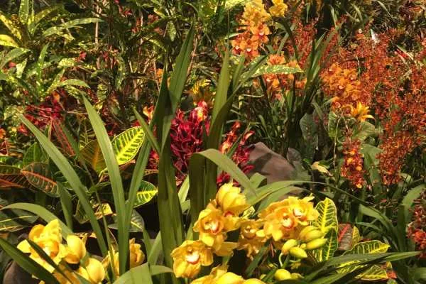 2016 Philly Flower Show Recap