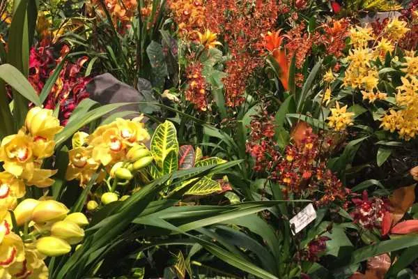 2016 Philly Flower Show Recap