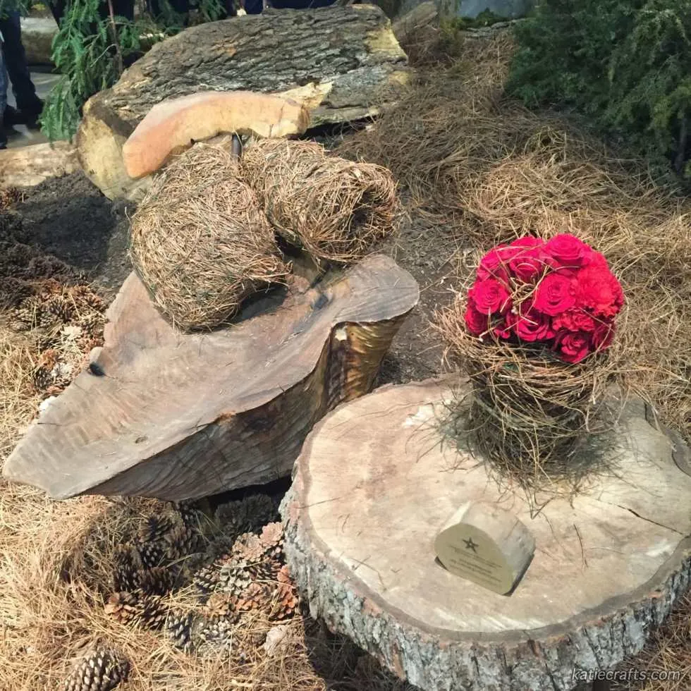 2016 Philly Flower Show Recap