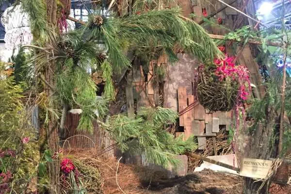 2016 Philly Flower Show Recap