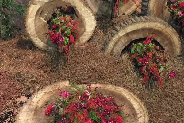 2016 Philly Flower Show Recap