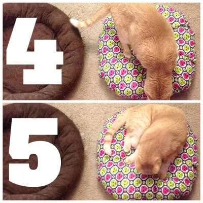 5 Quick Sewing Projects by