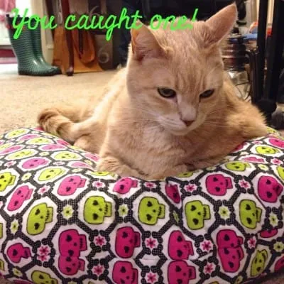 5 Quick Sewing Projects by