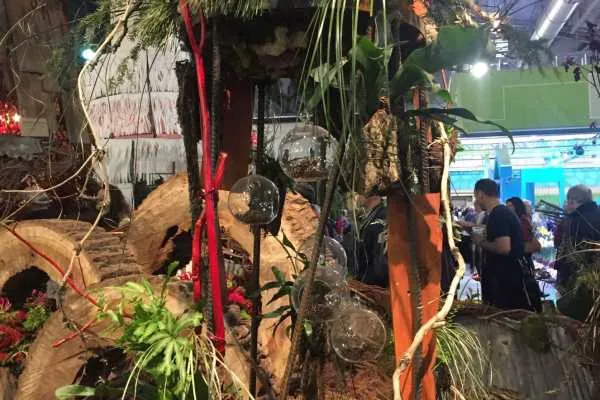2016 Philly Flower Show Recap