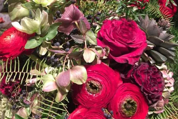 2016 Philly Flower Show Recap