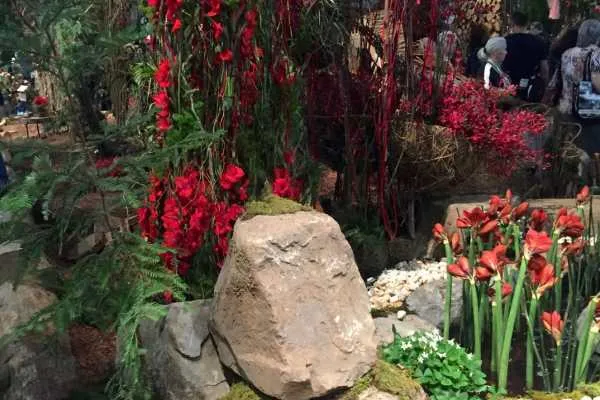 2016 Philly Flower Show Recap