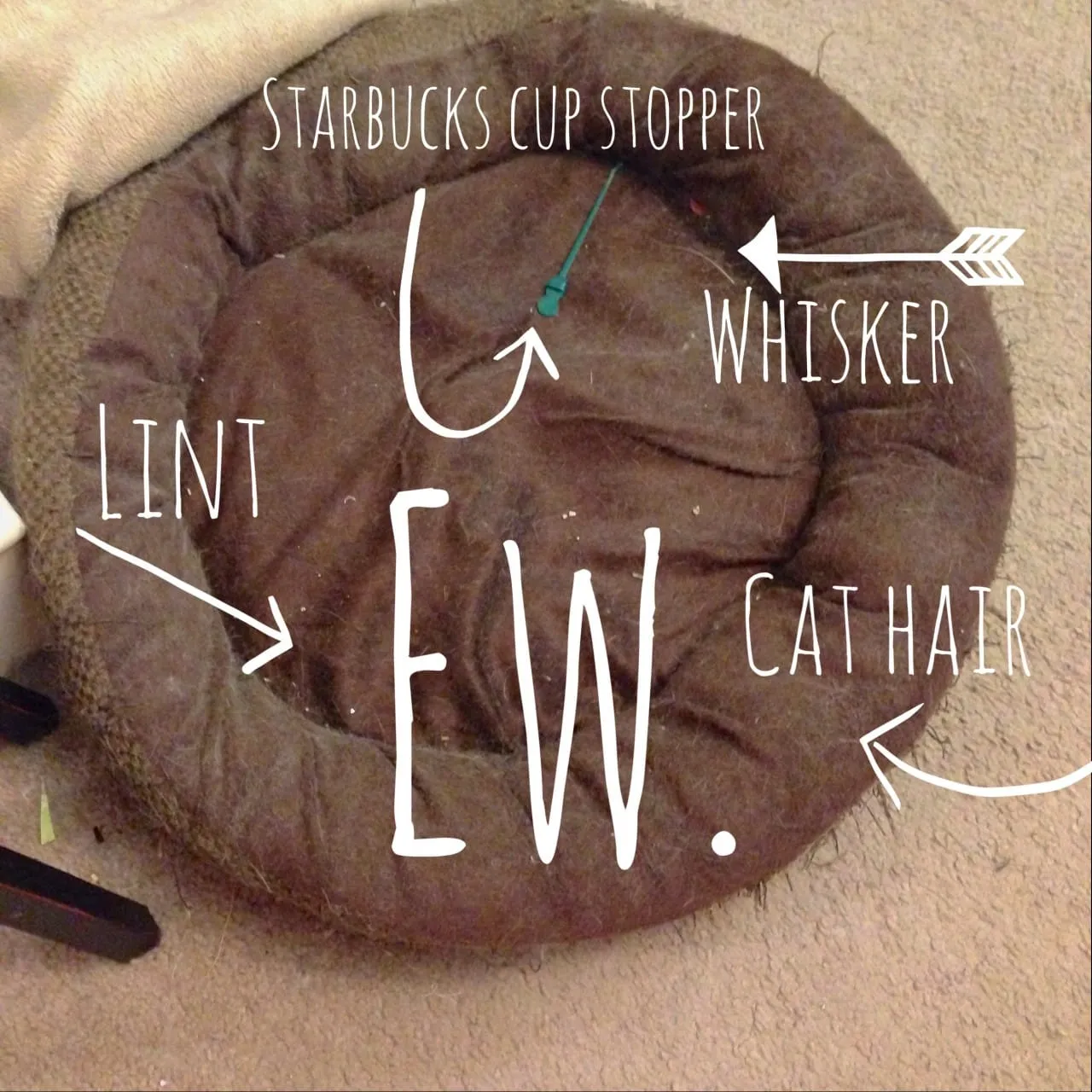 Cozy Catnip Kitty Pillow by