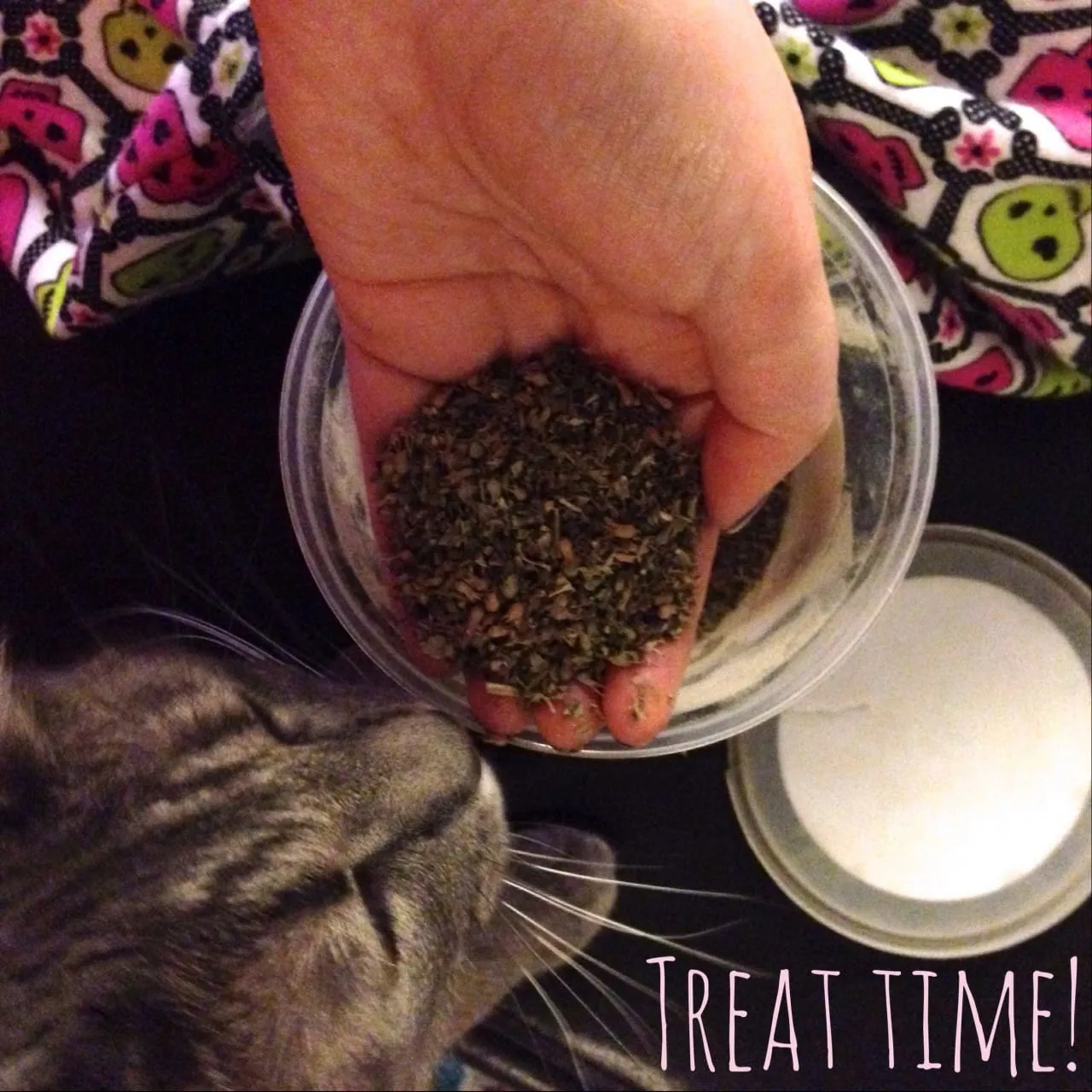 Cozy Catnip Kitty Pillow by