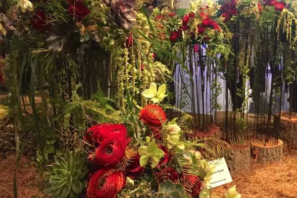 2016 Philly Flower Show Recap