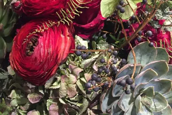 2016 Philly Flower Show Recap