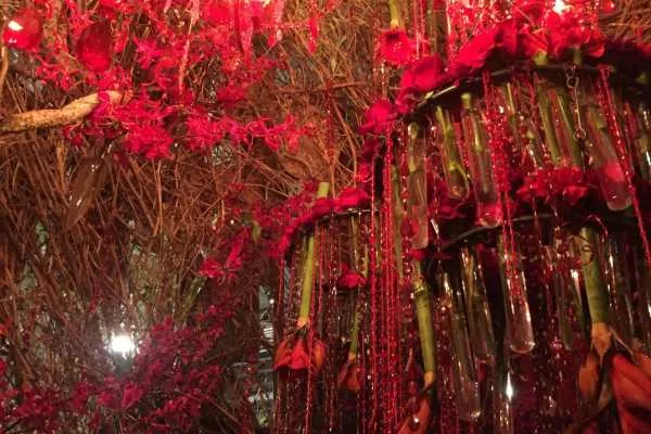 2016 Philly Flower Show Recap