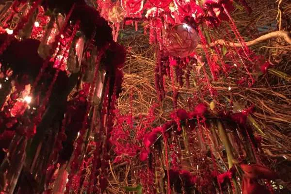 2016 Philly Flower Show Recap
