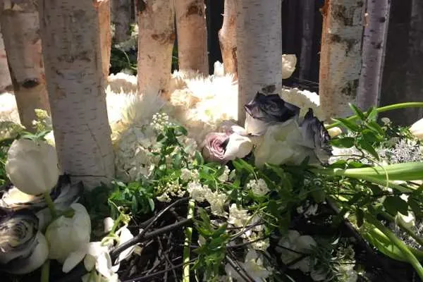 2016 Philly Flower Show Recap