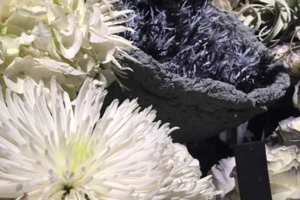 2016 Philly Flower Show Recap