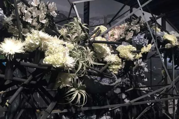 2016 Philly Flower Show Recap