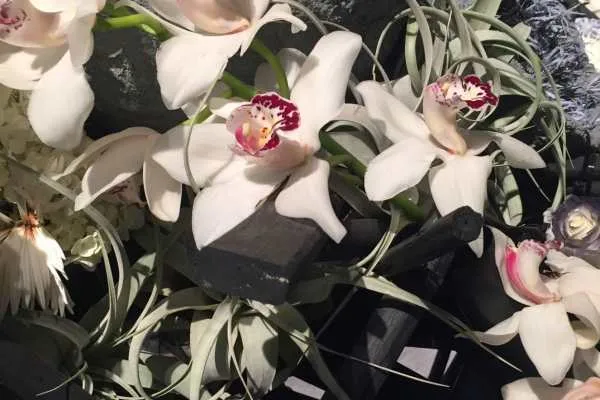 2016 Philly Flower Show Recap