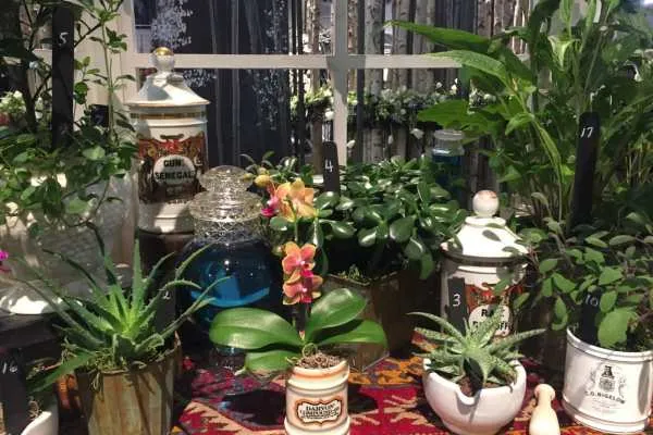 2016 Philly Flower Show Recap