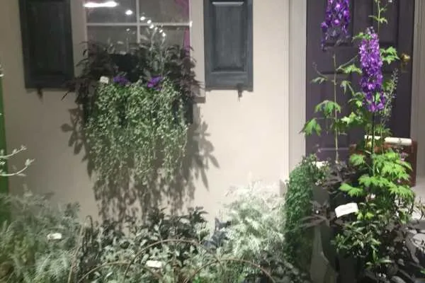 2016 Philly Flower Show Recap