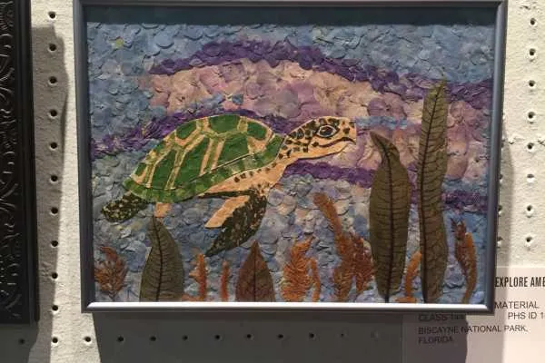 2016 Philly Flower Show Recap