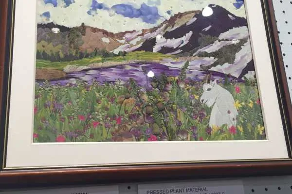 2016 Philly Flower Show Recap
