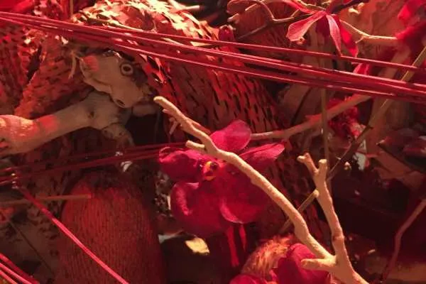2016 Philly Flower Show Recap