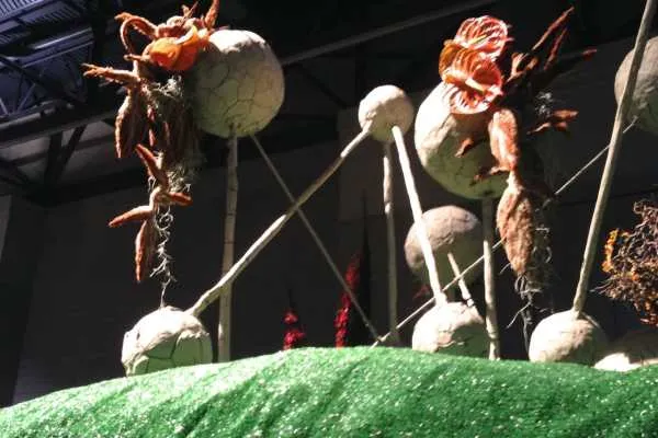 Philadelphia Flower Show!