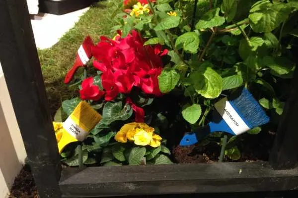 Philadelphia Flower Show!