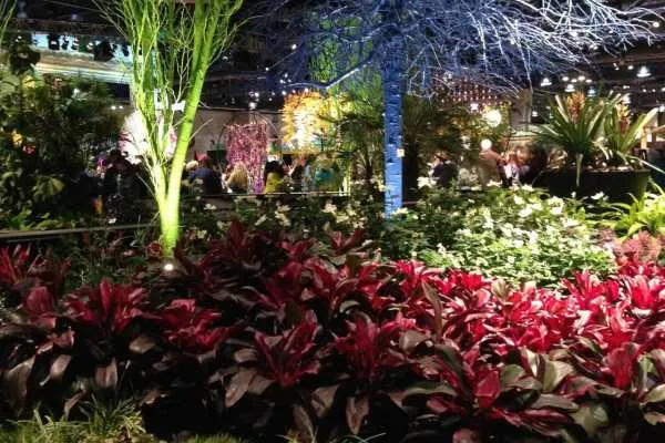 Philadelphia Flower Show!