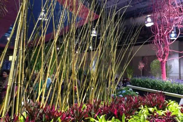 Philadelphia Flower Show!