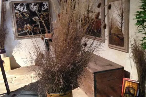 Philadelphia Flower Show!