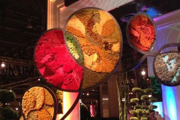 Philadelphia Flower Show!
