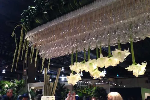 Philadelphia Flower Show!
