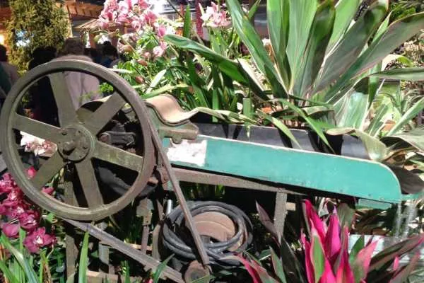 Philadelphia Flower Show!