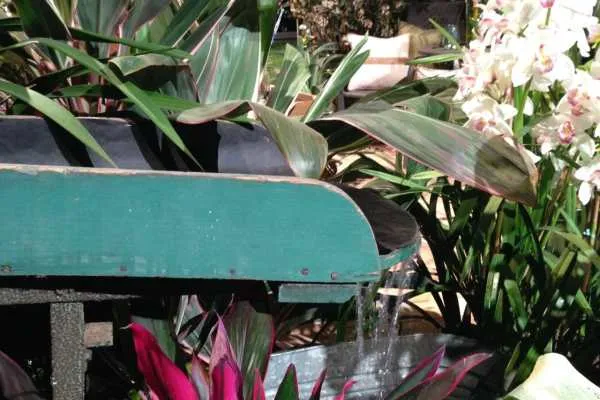 Philadelphia Flower Show!