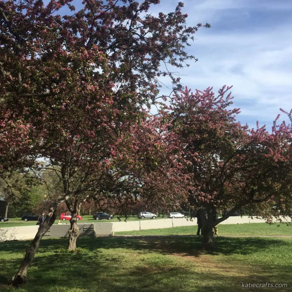 Washington D.C. Photo Recap!