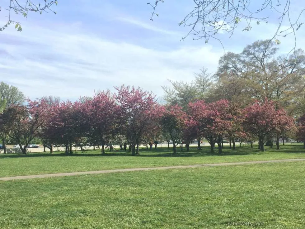 Washington D.C. Photo Recap!
