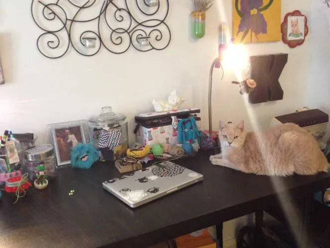 Lucky On Craft Desk