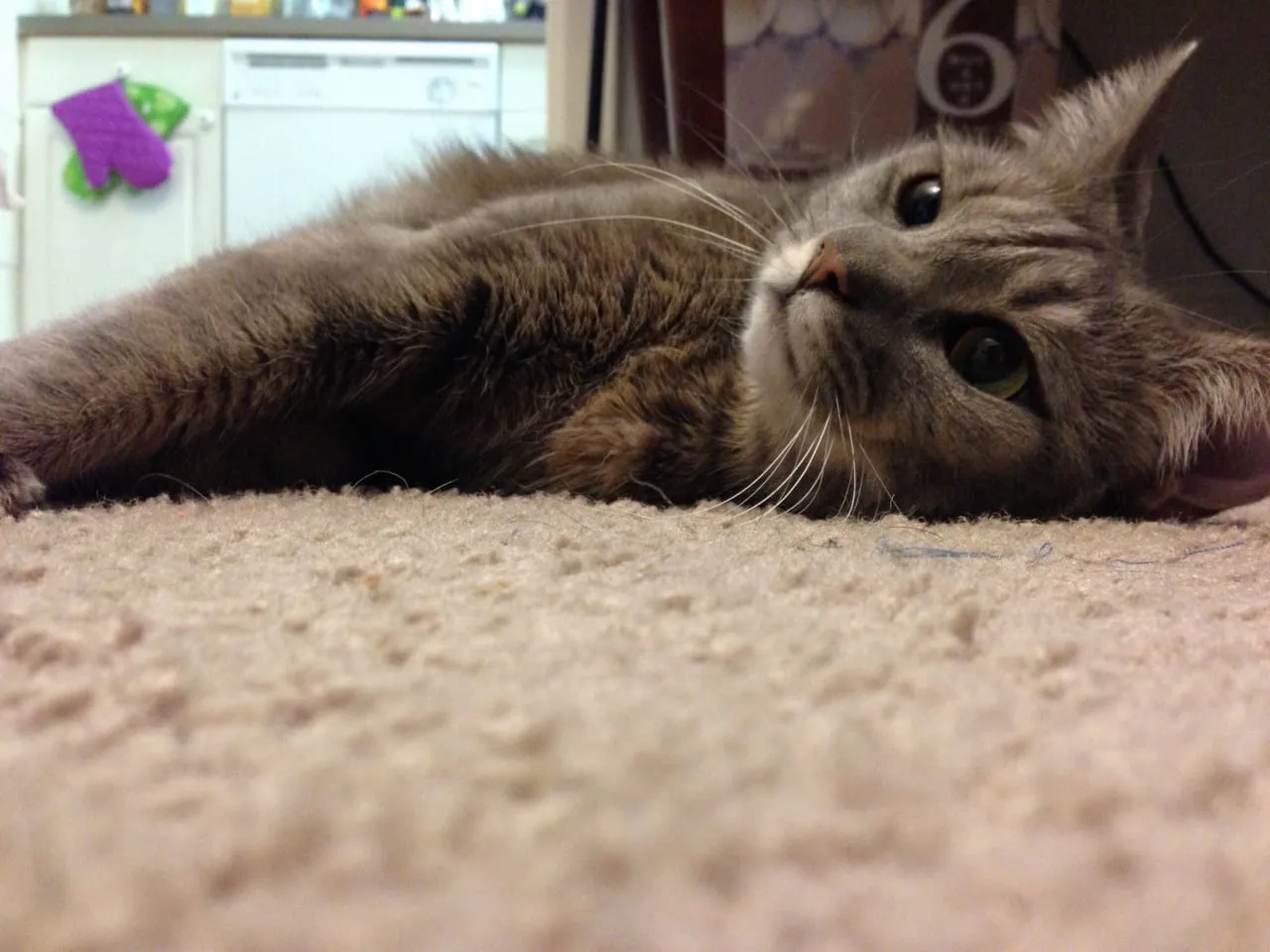 Just, go on without me.