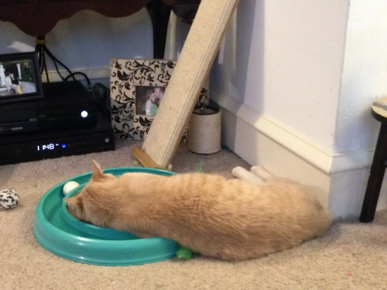 Exhausted Lucky