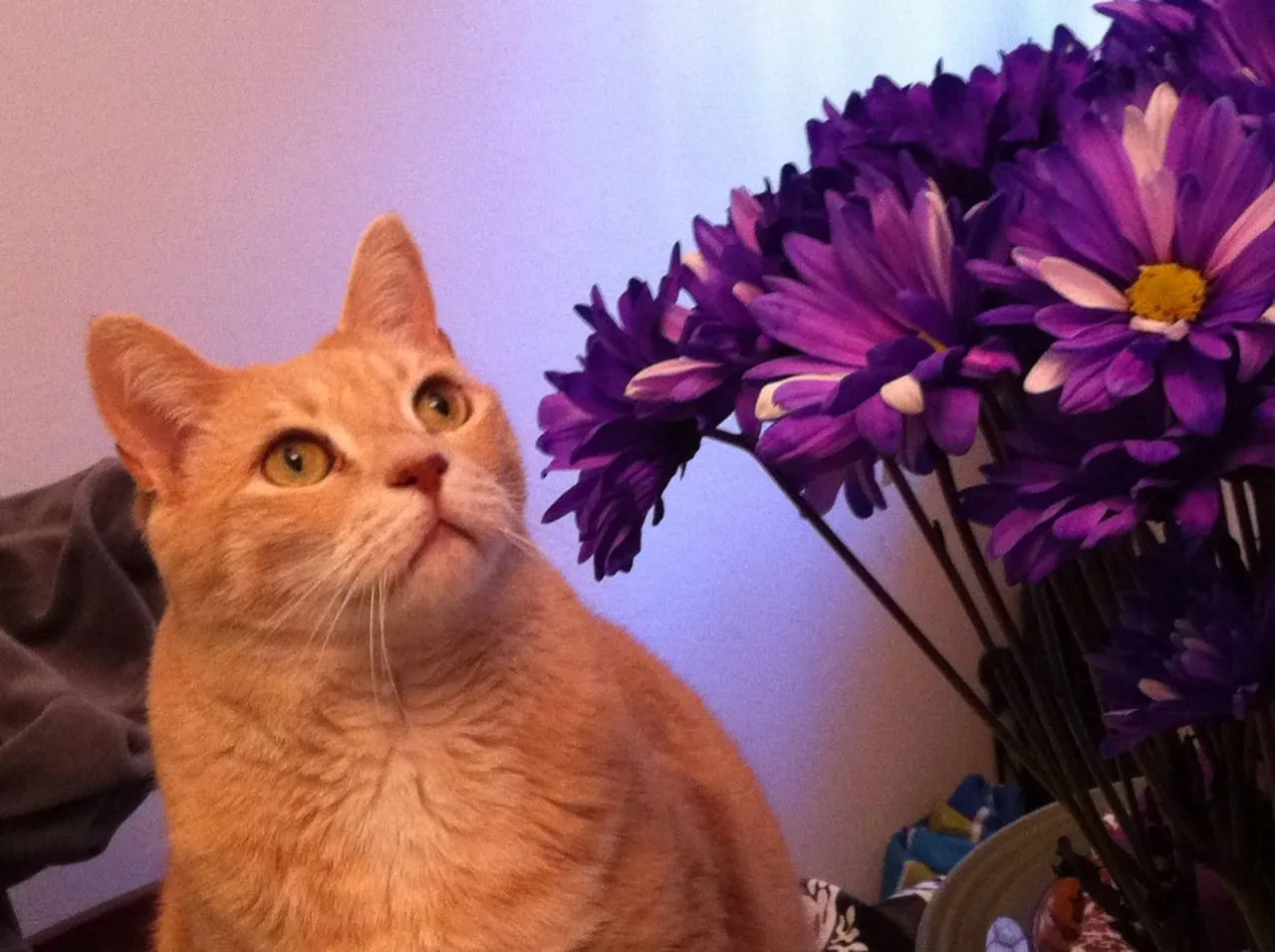Lucky loves the Springtime!