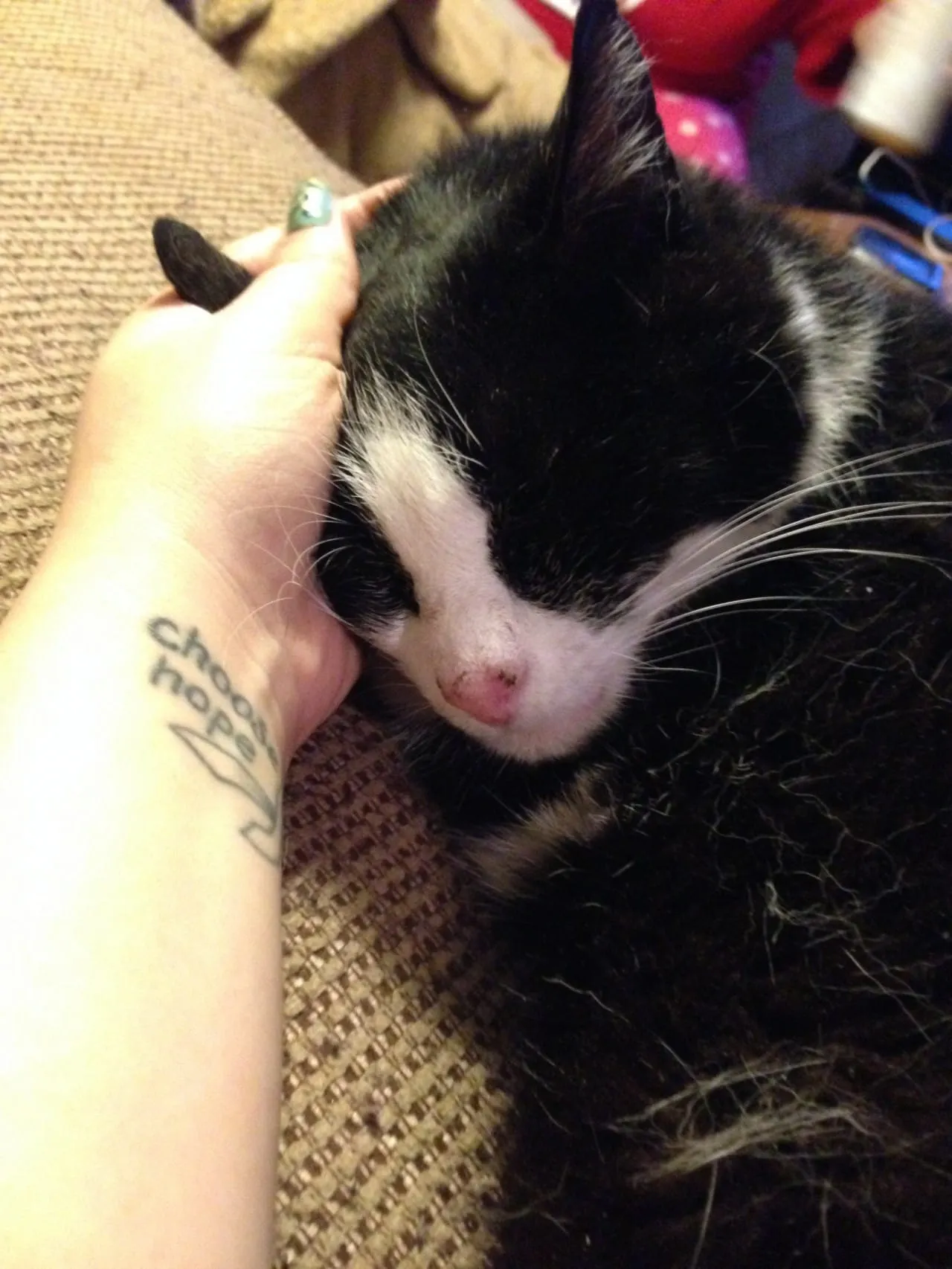 Sweet Porker Boy