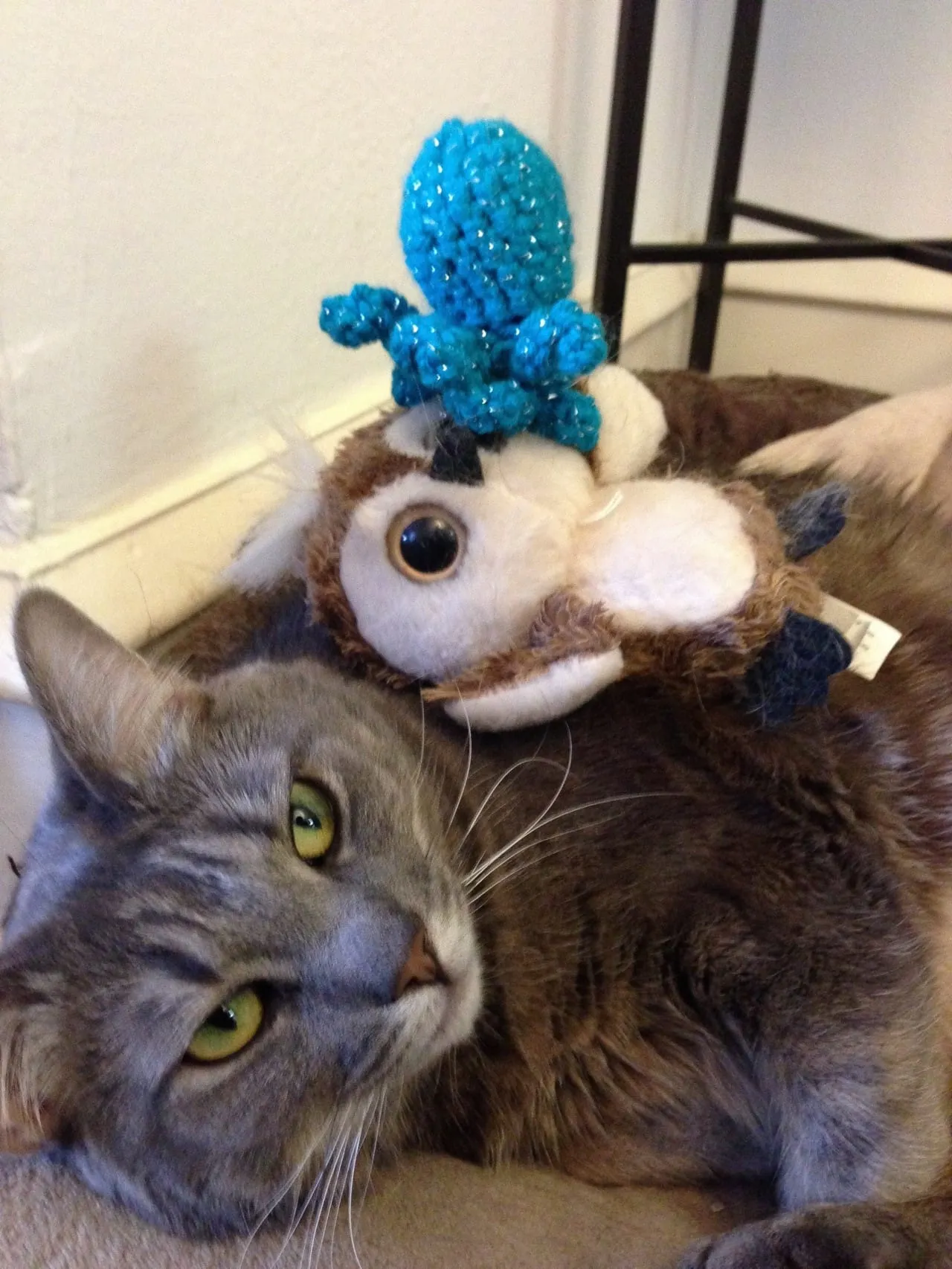 Toys On Mabel