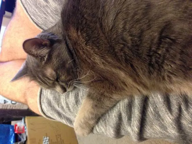 Curled Up Mabel