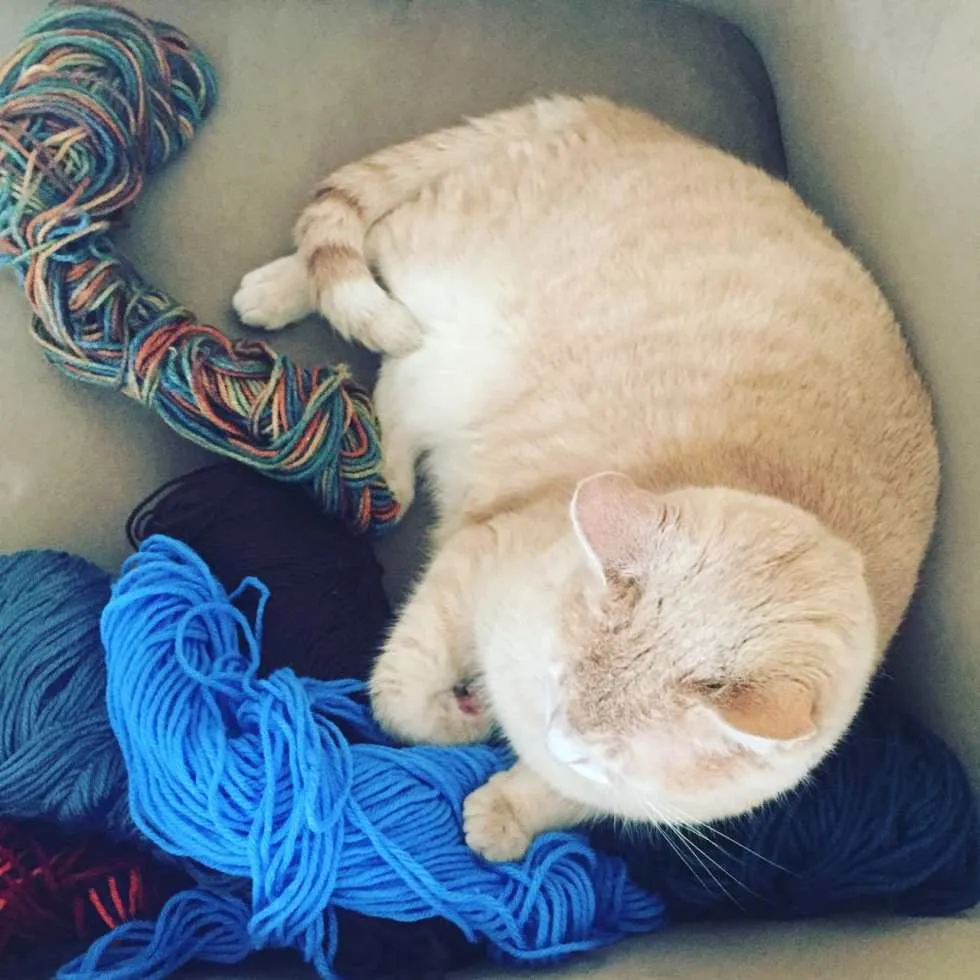 Lucky Loves Yarn