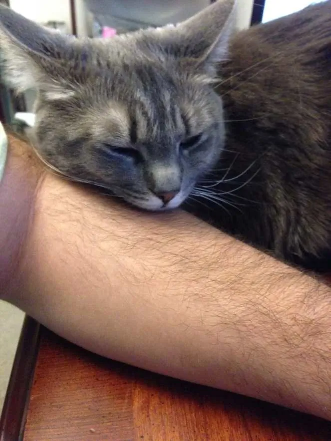 Packing is... JUST. SO. TIRING.