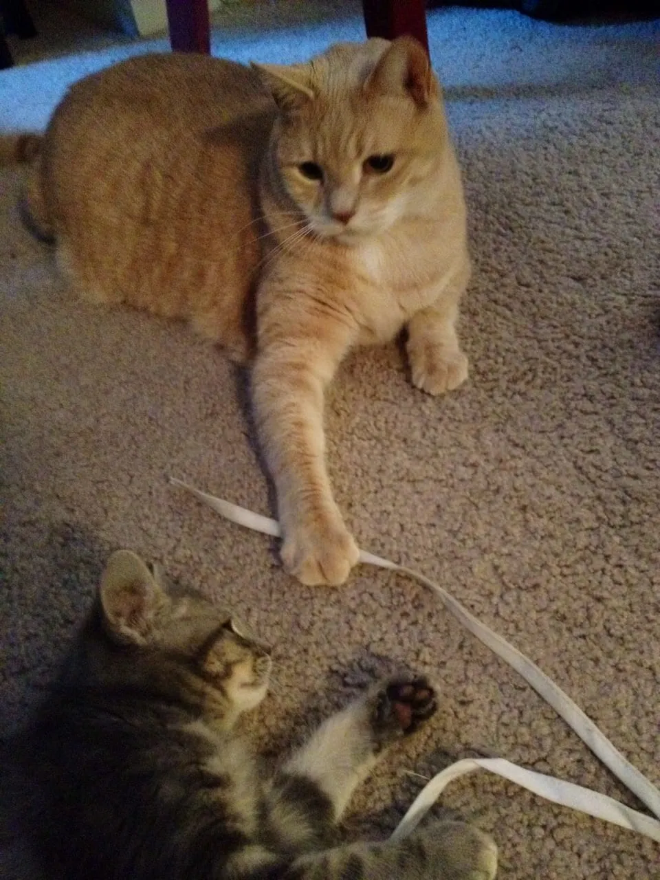 NO, IT'S MY STRING!